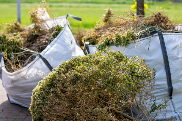 Best Dumpster Rental Services  in Gila Bend, AZ